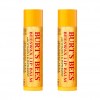 Burt's Bees Set of 2 Lip Balms + EVA Biodegradable Pouch